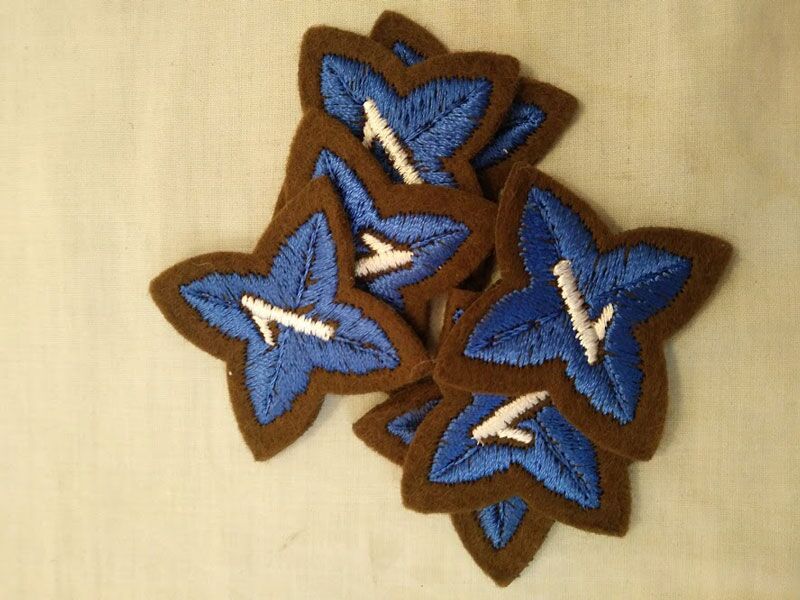 Cadet 1 star patch