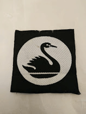 51st Independent Infantry formation Patch 51st Independent Infantry formation Patch